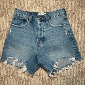 Abercrombie and fitch dad shorts